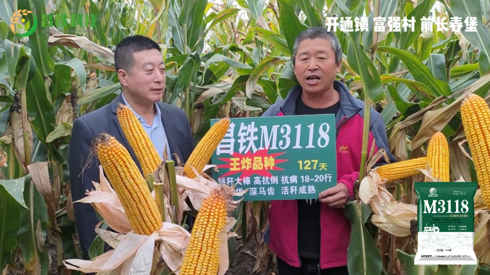 昌铁M3118开通镇富强村前长春堡农户反馈