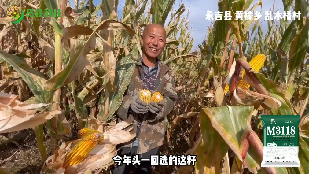 昌铁M3118永吉县黄瑜乡乱木桥村农户反馈