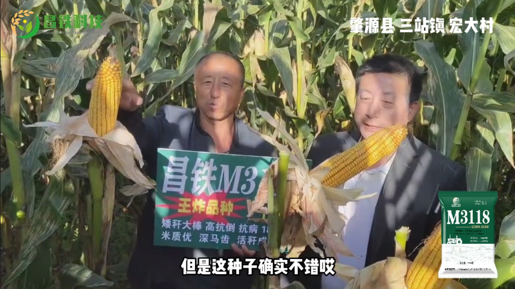 昌铁M3118肇源县三站镇宏大村农户反馈