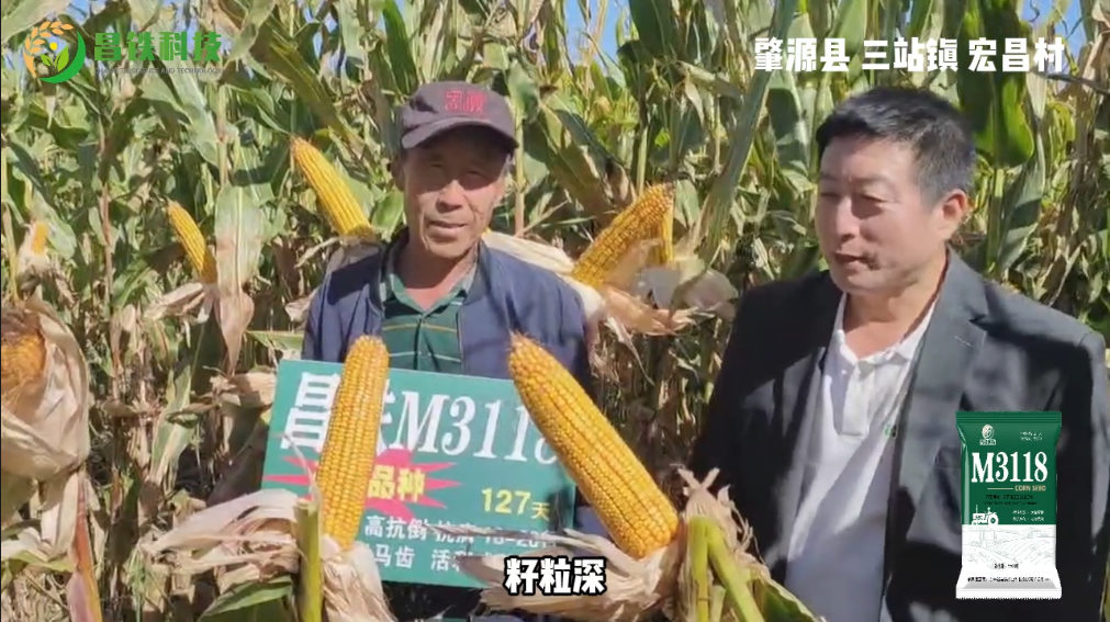 昌铁M3118肇源县三站镇宏昌村农户反馈