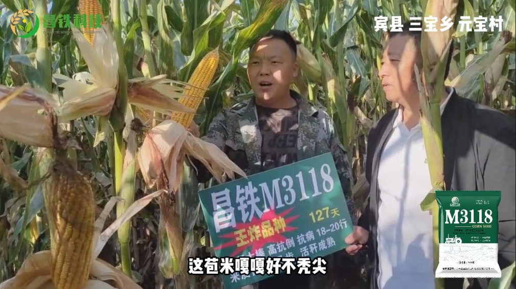 昌铁M3118宾县三宝乡元宝村农户反馈