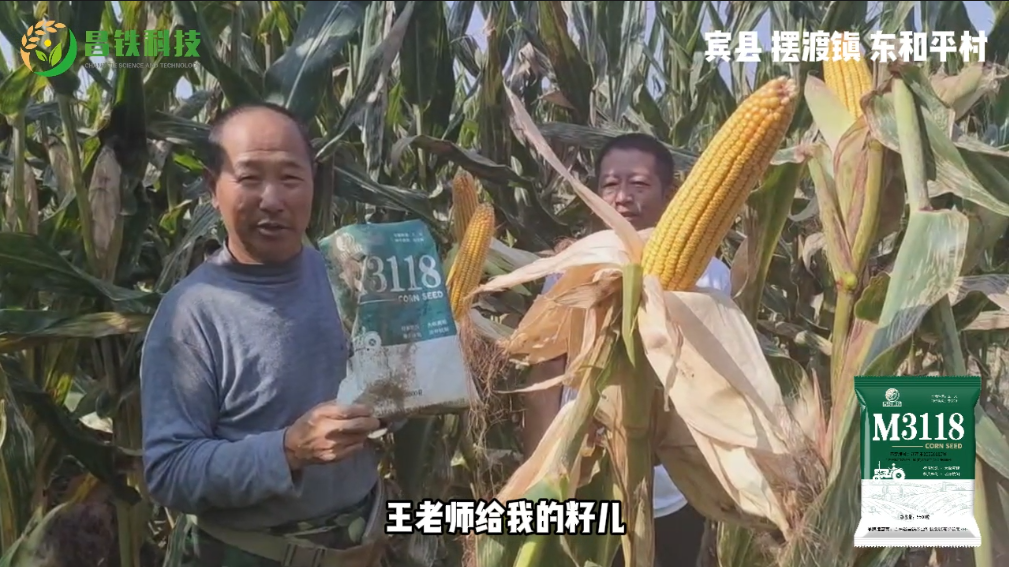 昌铁M3118宾县摆渡镇东和平村农户反馈