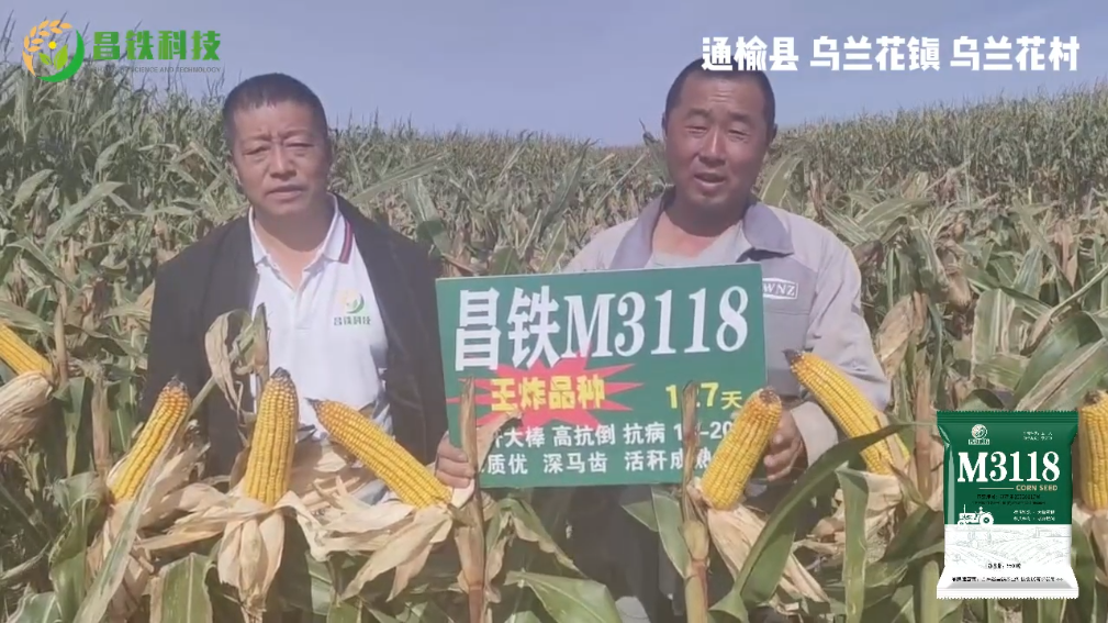 昌铁M3118通榆县乌兰花镇乌兰花村农户反馈