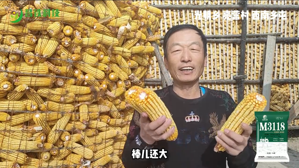 昌铁M3118光明乡亮营村西南乡屯农户反馈