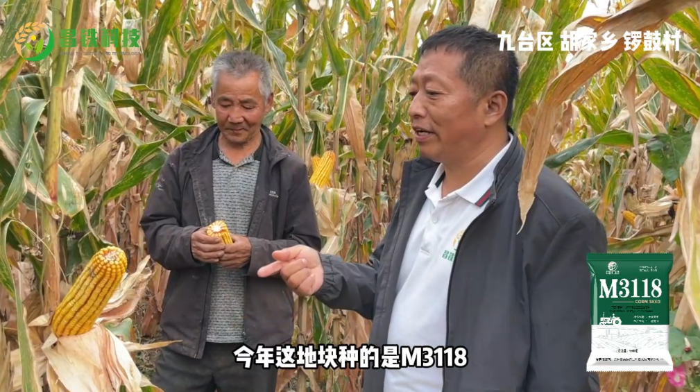 昌铁M3118九台区胡家乡锣鼓村农户反馈
