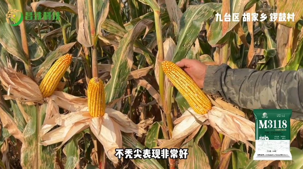 昌铁M3118九台区胡家乡锣鼓村农户反馈