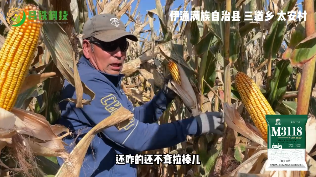 昌铁M3118伊通满族自治县三道乡太安村农户反馈