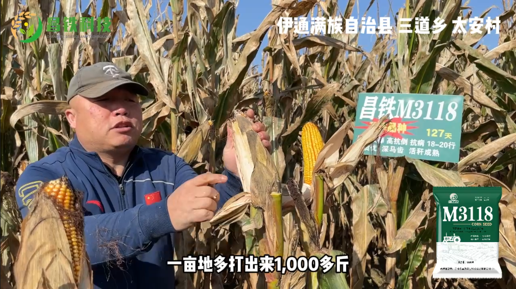 昌铁M3118伊通满族自治县三道乡太安村农户反馈